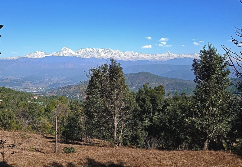  2160 Sq.ft. Residential Plot for Sale in Kausani, Almora
