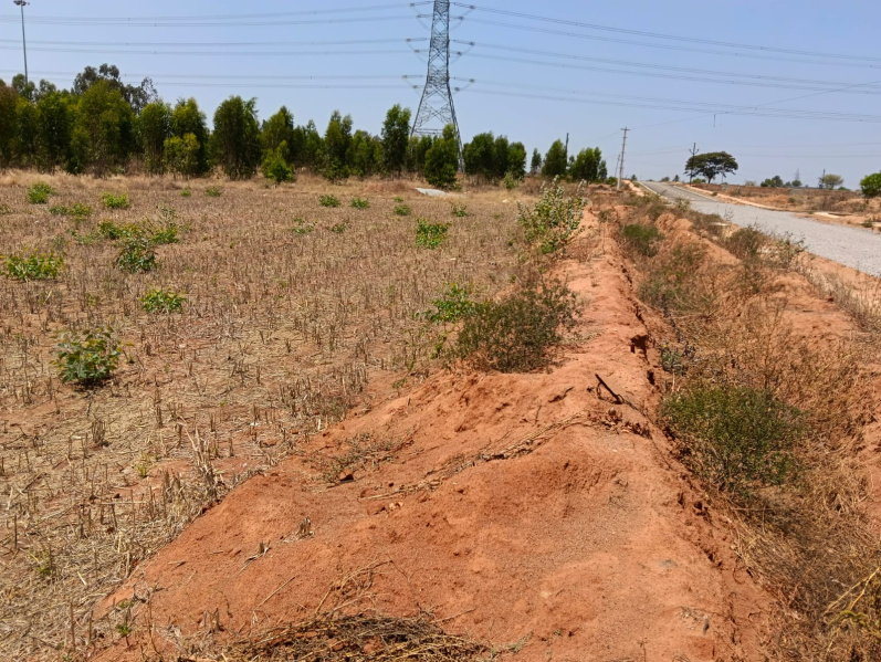  9500 Sq.ft. Commercial Land for Sale in Devanahalli, Bangalore