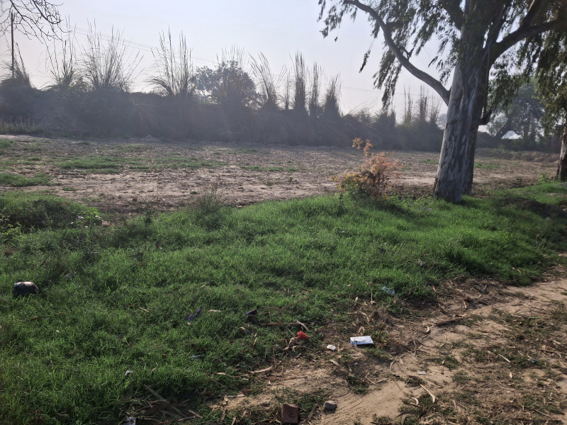  2100 Sq.ft. Commercial Land for Sale in Baraut, Baghpat