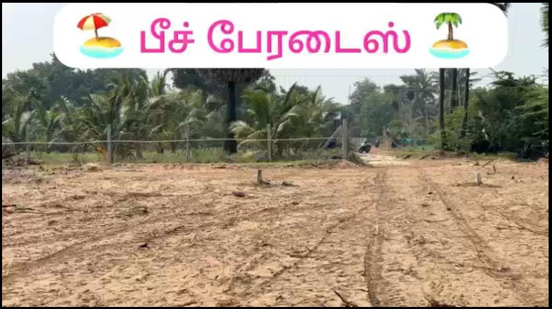  25 Cent Agricultural/Farm Land for Sale in Tiruvadanai, Ramanathapuram