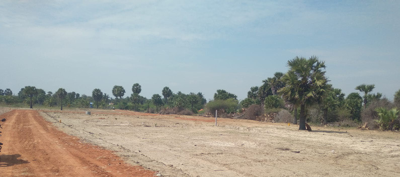  25 Cent Agricultural/Farm Land for Sale in Tiruvadanai, Ramanathapuram