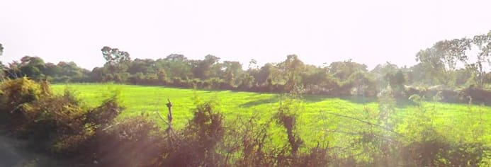  3 Acre Agricultural/Farm Land for Sale in Ranjhi, Jabalpur