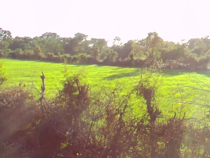  3 Acre Agricultural/Farm Land for Sale in Ranjhi, Jabalpur