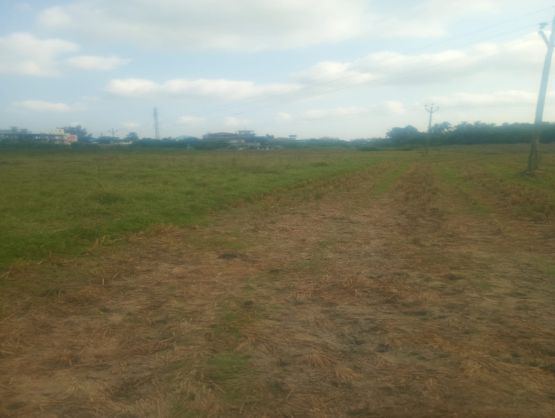  47 Cent Agricultural/Farm Land for Sale in Agastheeswaram, Kanyakumari