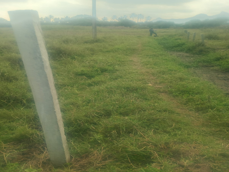  47 Cent Agricultural/Farm Land for Sale in Agastheeswaram, Kanyakumari