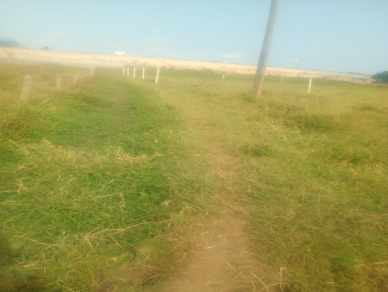  47 Cent Agricultural/Farm Land for Sale in Agastheeswaram, Kanyakumari