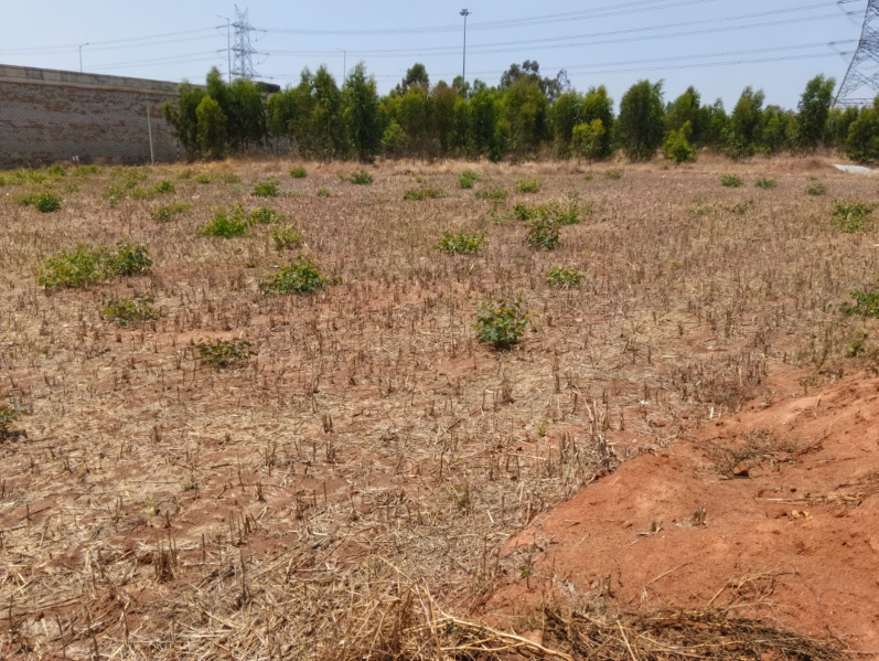  9500 Sq.ft. Commercial Land for Sale in Devanahalli, Bangalore