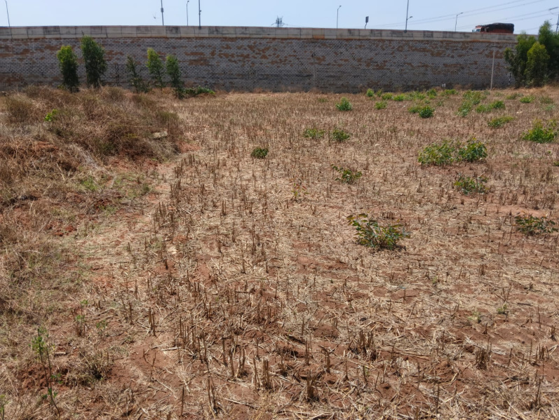  9500 Sq.ft. Commercial Land for Sale in Devanahalli, Bangalore