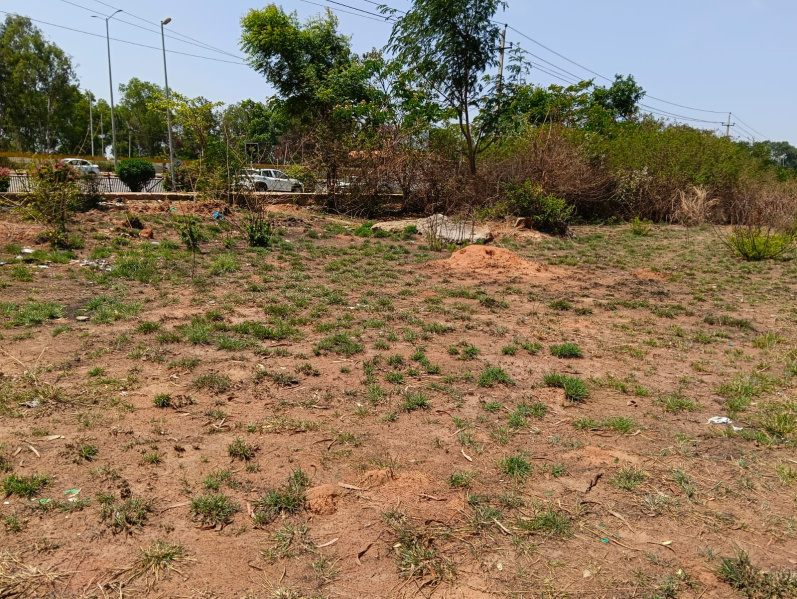 152460 Sq.ft. Business Center for Rent in Devanahalli, Bangalore