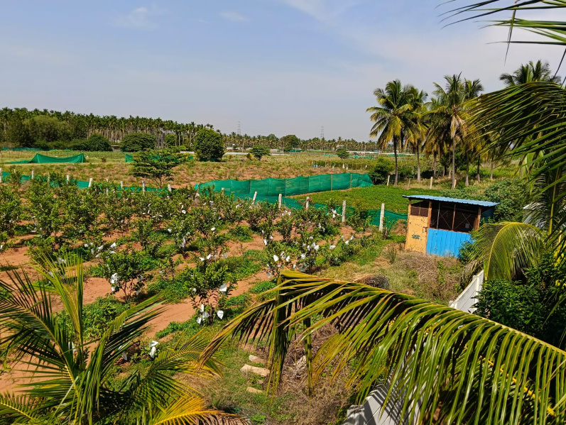 5 BHK 10000 Sq.ft. Apartment for Sale in Yelahanka, Bangalore