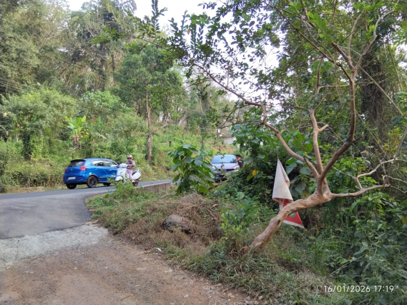  18295 Sq.ft. Residential Plot for Sale in Koothuparamba, Kannur