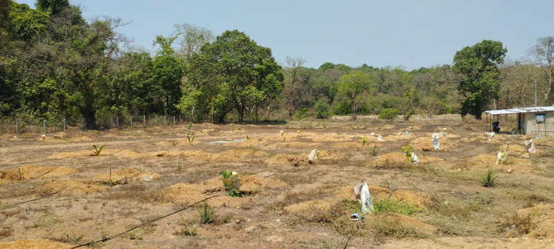  52272 Sq.ft. Agricultural/Farm Land for Sale in Dandeli, Uttara Kannada