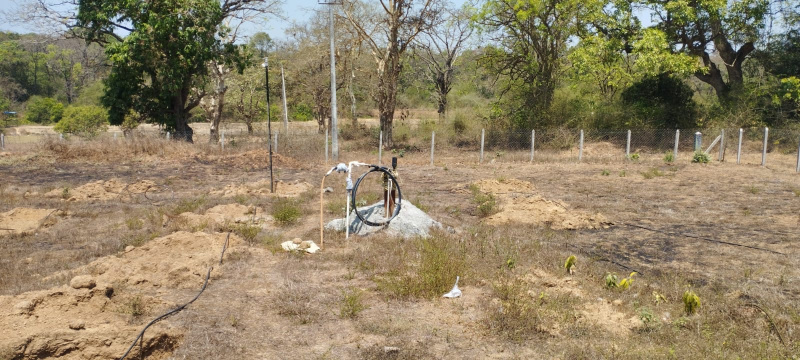  52272 Sq.ft. Agricultural/Farm Land for Sale in Dandeli, Uttara Kannada