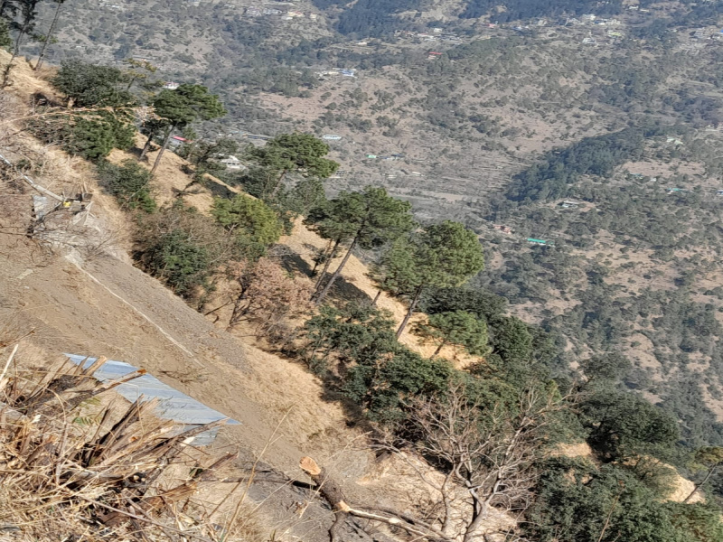  25420 Sq.ft. Commercial Land for Sale in shimla bypass to dhali patuid anandpur Shimla