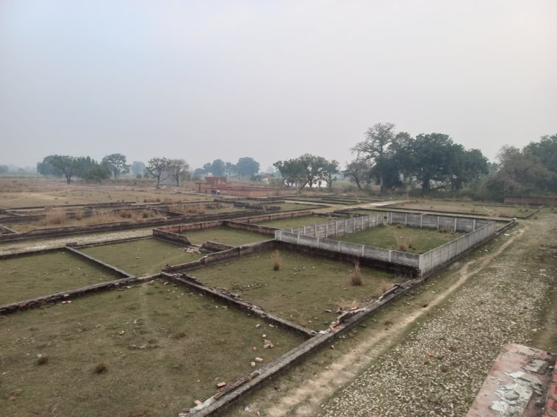  1000 Sq.ft. Residential Plot for Sale in Sultanpur Road, Lucknow