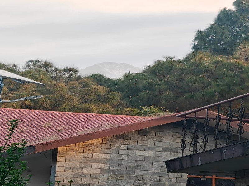 2 BHK 1500 Sq.ft. Villa for Sale in Holta, Palampur