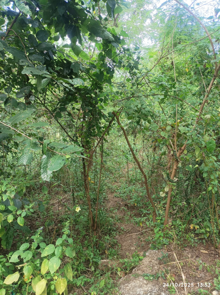  43560 Sq.ft. Residential Plot for Sale in Boisar East, Palghar