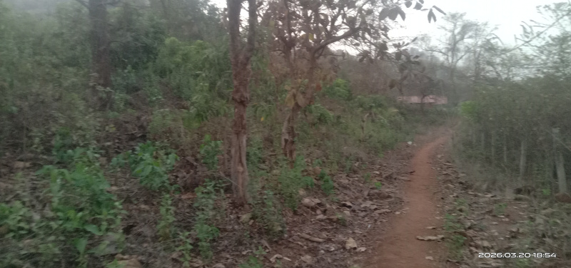  5 Acre Agricultural/Farm Land for Sale in Pen, Raigad