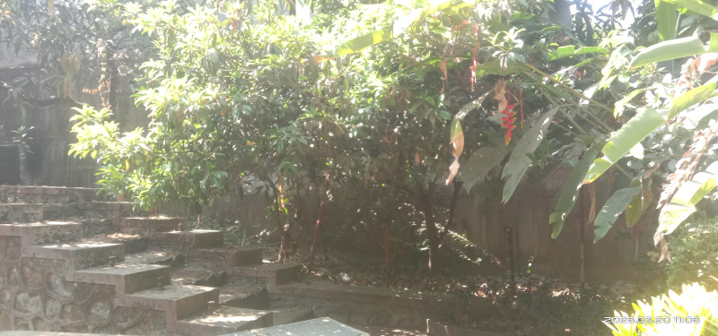  5 Guntha Agricultural/Farm Land for Sale in Pen, Raigad