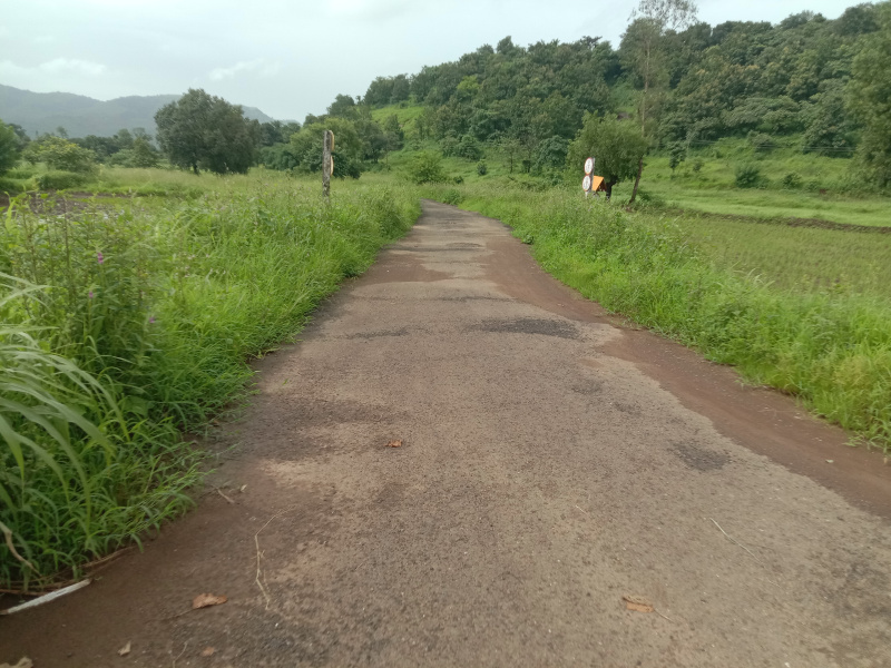  180000 Guntha Agricultural/Farm Land for Sale in Khopoli, Raigad