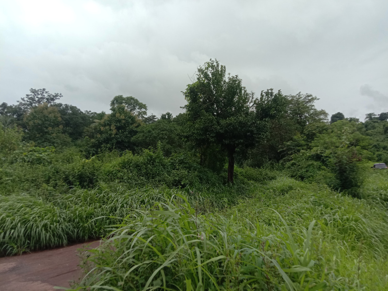  15000000 Acre Industrial Land for Sale in Kolad, Raigad
