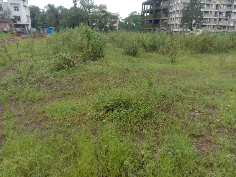  75 Acre Industrial Land for Sale in Kolad, Raigad
