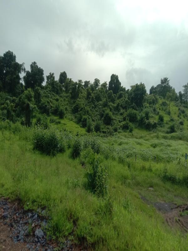  75 Acre Industrial Land for Sale in Kolad, Raigad