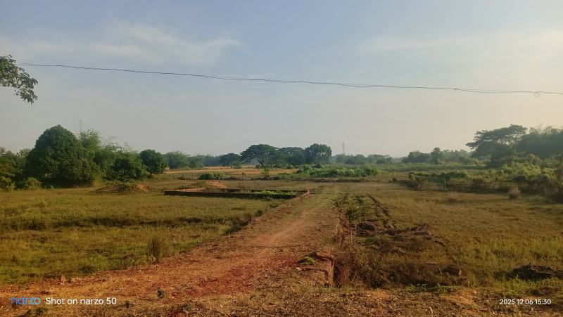  1200 Sq.ft. Residential Plot for Sale in Ranga Bazar, Bhubaneswar