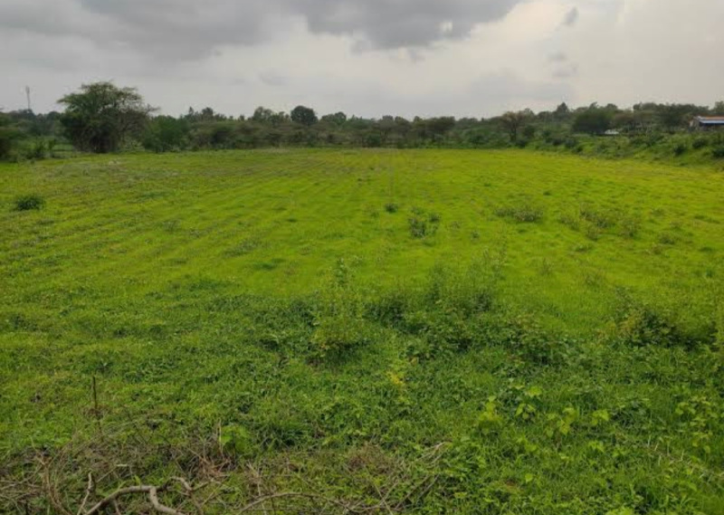  3000 Sq.ft. Agricultural/Farm Land for Sale in Hingna Road, Nagpur
