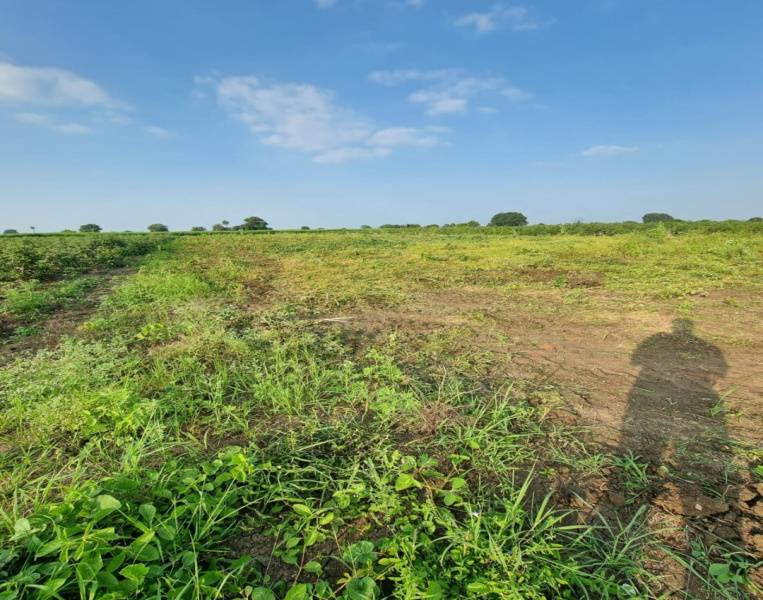  3000 Sq.ft. Agricultural/Farm Land for Sale in Hingna Road, Nagpur