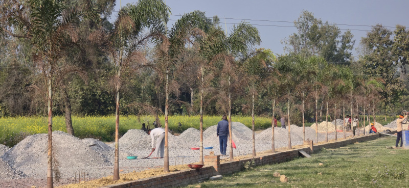  1000 Sq.ft. Residential Plot for Sale in Faizabad Road, Barabanki