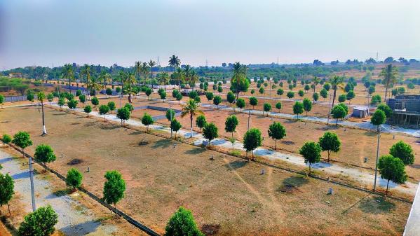  1200 Sq.ft. Residential Plot for Sale in Gowribidanur, ChikBallapur