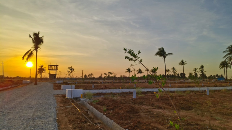  1200 Sq.ft. Residential Plot for Sale in Gowribidanur, ChikBallapur