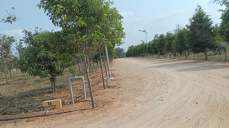  2500 Sq.ft. Agricultural/Farm Land for Sale in Ranipet, Chennai