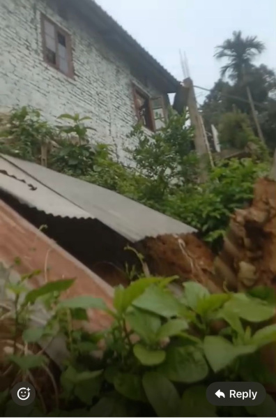  2100 Sq.ft. Residential Plot for Sale in Beharbari Chariali, Guwahati