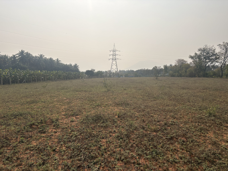  222 Cent Agricultural/Farm Land for Sale in Thondamuthur, Coimbatore