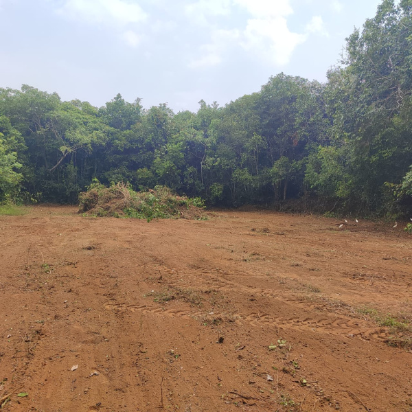  15 Cent Residential Plot for Sale in Karkala, Udupi