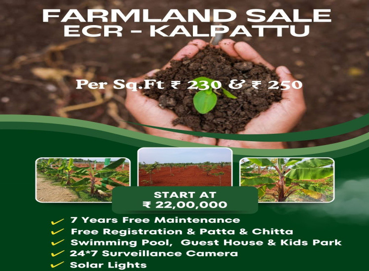  10000 Sq.ft. Agricultural/Farm Land for Sale in Acharapakkam, Chengalpattu