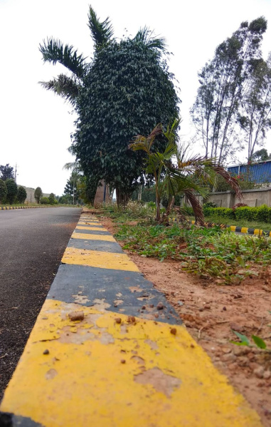 1500 Sq.ft. Residential Plot for Sale in Hoskote, Bangalore