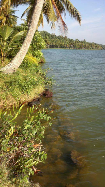  4 Acre Commercial Land for Sale in Varkala, Thiruvananthapuram