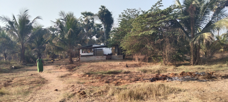  11 Acre Agricultural/Farm Land for Sale in Chodavaram, Visakhapatnam