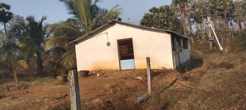  11 Acre Agricultural/Farm Land for Sale in Chodavaram, Visakhapatnam