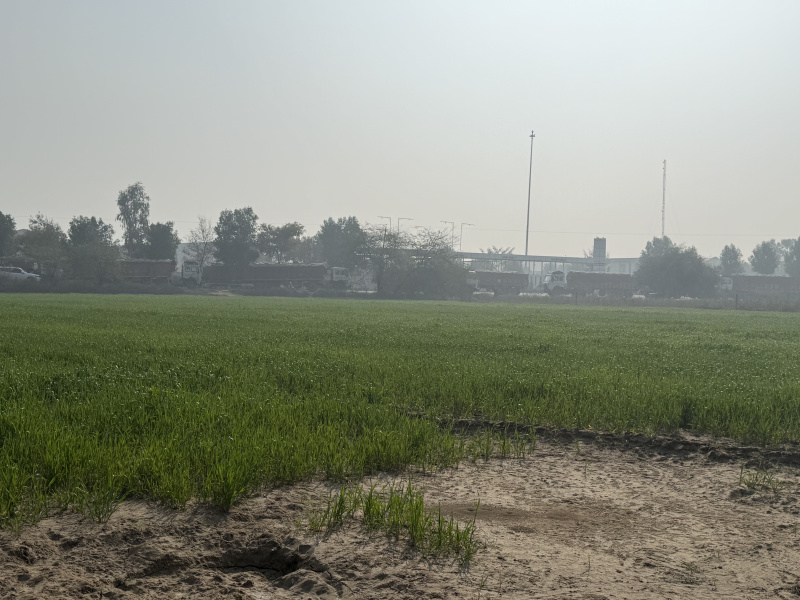  4 Acre Agricultural/Farm Land for Sale in Malout, Muktsar