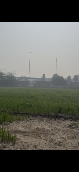  4 Acre Agricultural/Farm Land for Sale in Malout, Muktsar