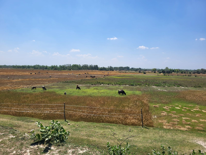  184 Sq. Meter Residential Plot for Sale in Ecotech XI, Greater Noida
