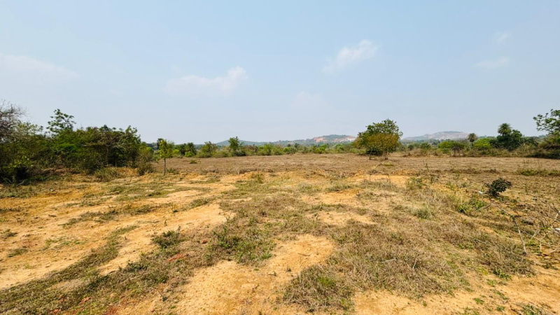  1200 Sq.ft. Agricultural/Farm Land for Sale in Kunjuri, Khordha