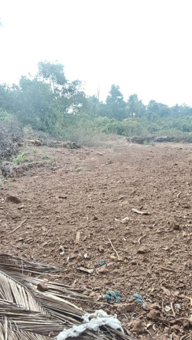  1360 Sq. Meter Residential Plot for Sale in Aquem, Margao, Goa