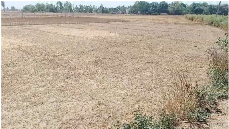  10000 Sq.ft. Residential Plot for Sale in Gosainganj, Lucknow