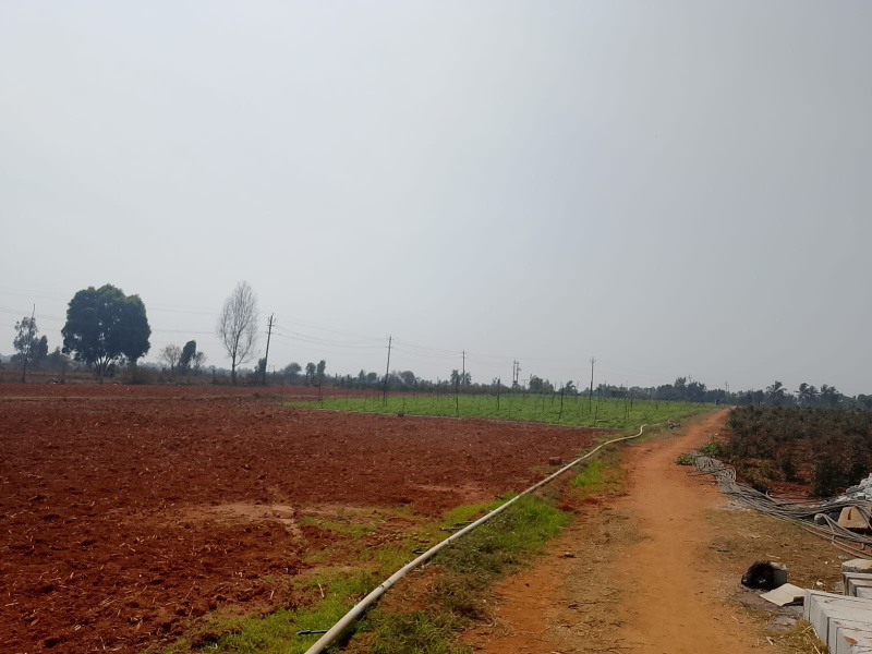  1200 Sq.ft. Residential Plot for Sale in Devanahalli, Bangalore