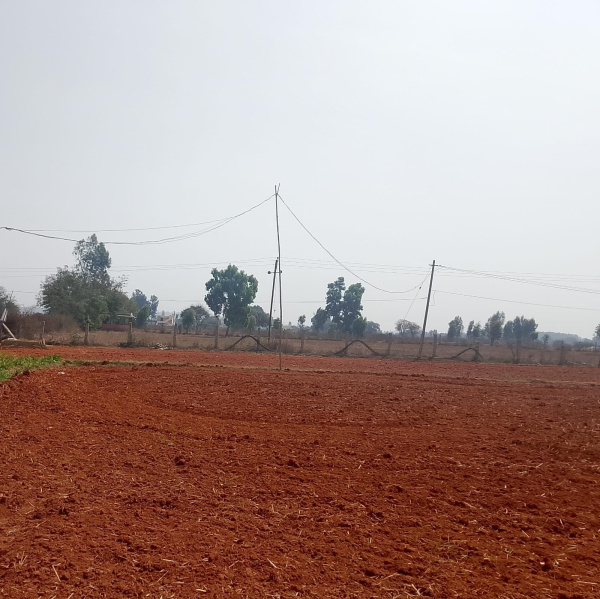  1200 Sq.ft. Residential Plot for Sale in Devanahalli, Bangalore